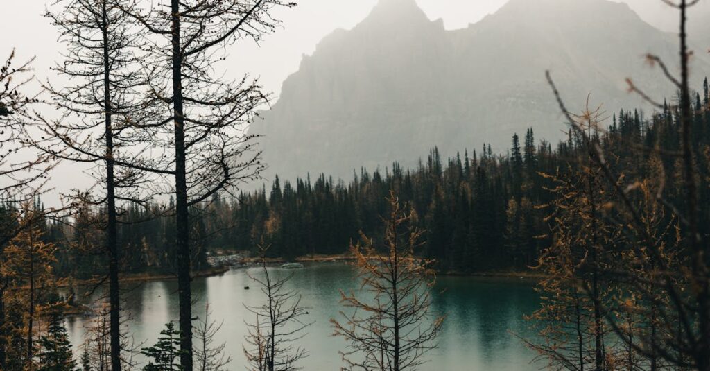 Scoprire le tariffe d'ingresso ai parchi nazionali in francia. conoscere le tariffe, gli sconti e i pass disponibili per godere al meglio della natura e proteggere l'ambiente.